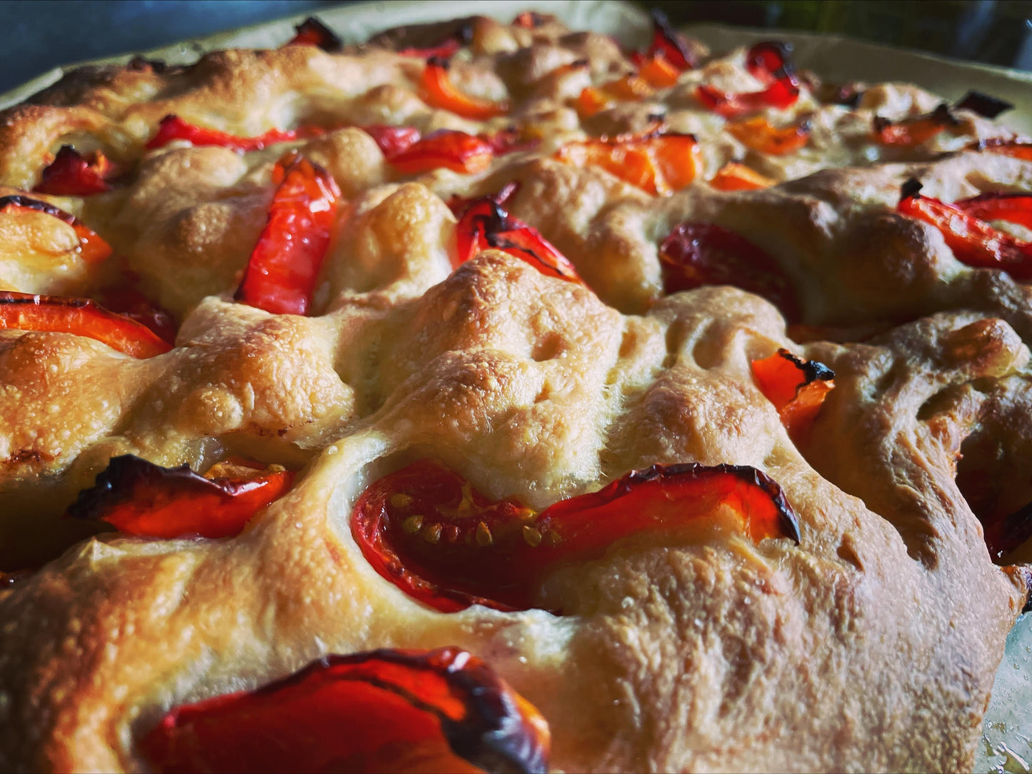 THURSDAY SPECIAL: Roasted Tomato, Peppers & Onion Focaccia (HD2 & HD3)