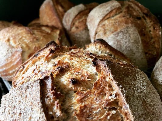 Seeded Country Sourdough (HD6 & HX3)