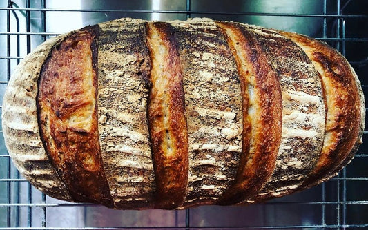 The Double BH72 Sourdough (HD2 & HD3)