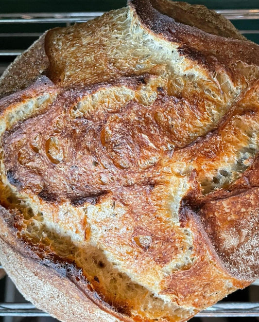 THURSDAY SPECIAL: Roasted Garlic & Herb Pain au Levain (HD2 & HD3)