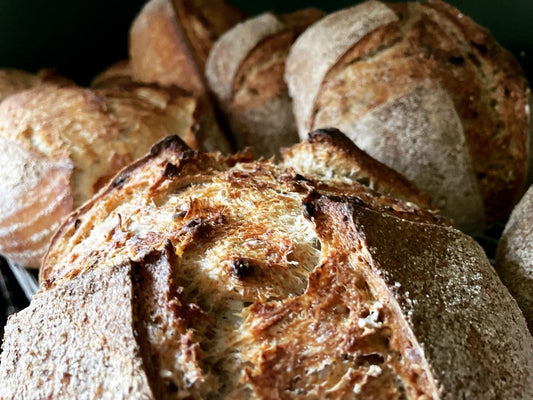 Seeded Country Sourdough (HD2 & HD3)