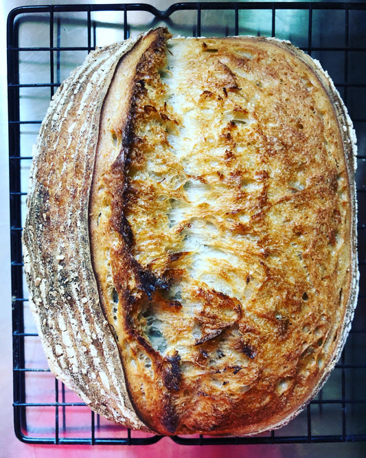 BH72 Sourdough (HD2 & HD3)